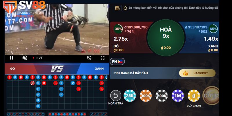Các hình thức đá gà nổi bật