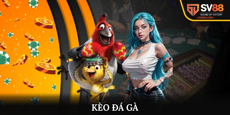 Tổng Hợp Kèo Đá Gà Mới Nhất 2025 Cho Newbie