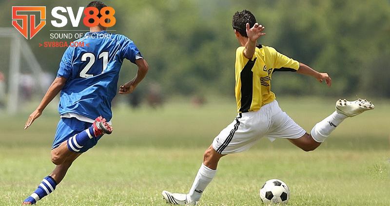 Áp dụng phương án thống kê, phân tích để có cơ sở dự đoán