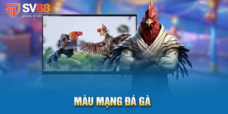 Hiểu chính xác về khái niệm màu mạng gà đá đến cho anh em