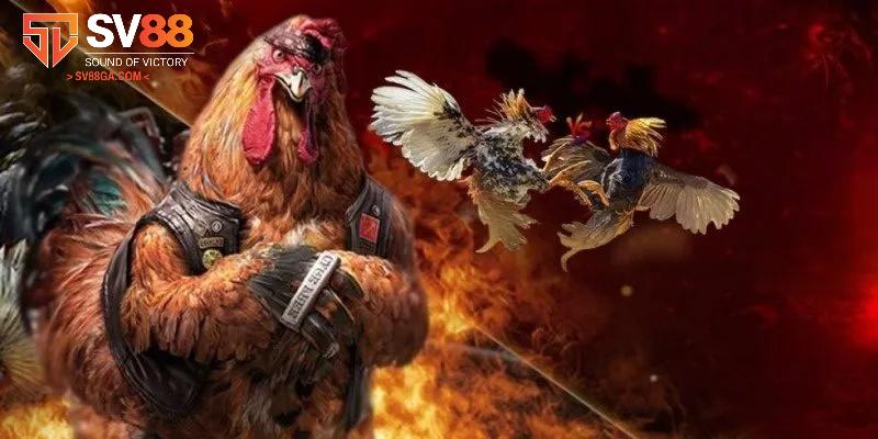 Kinh nghiệm tham gia chọn cược đá gà cực hiệu quả đến từ chuyên gia lâu năm