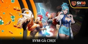 SV88 Gà Chọi - Nơi Theo Dõi Những Màn Tranh Tài Kịch Tính