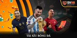 Tài xỉu bóng đá