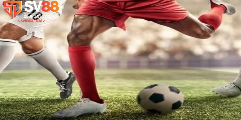 Tham gia cược kèo châu Âu kịch tính, dễ hiểu
