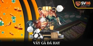 Vảy Gà Đá Hay - Cách Lựa Chọn Chiến Binh Tài Giỏi 2025