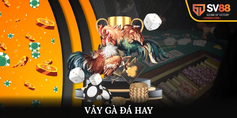 Vảy Gà Đá Hay - Cách Lựa Chọn Chiến Binh Tài Giỏi 2025